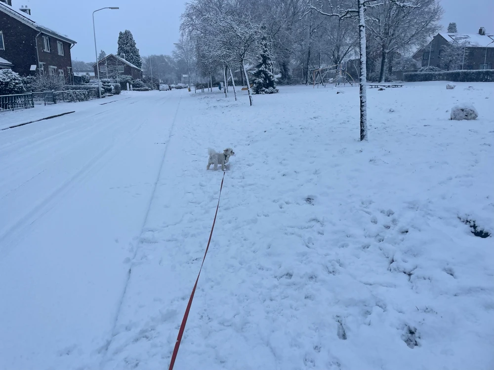 Afbeelding geüpload door Christian