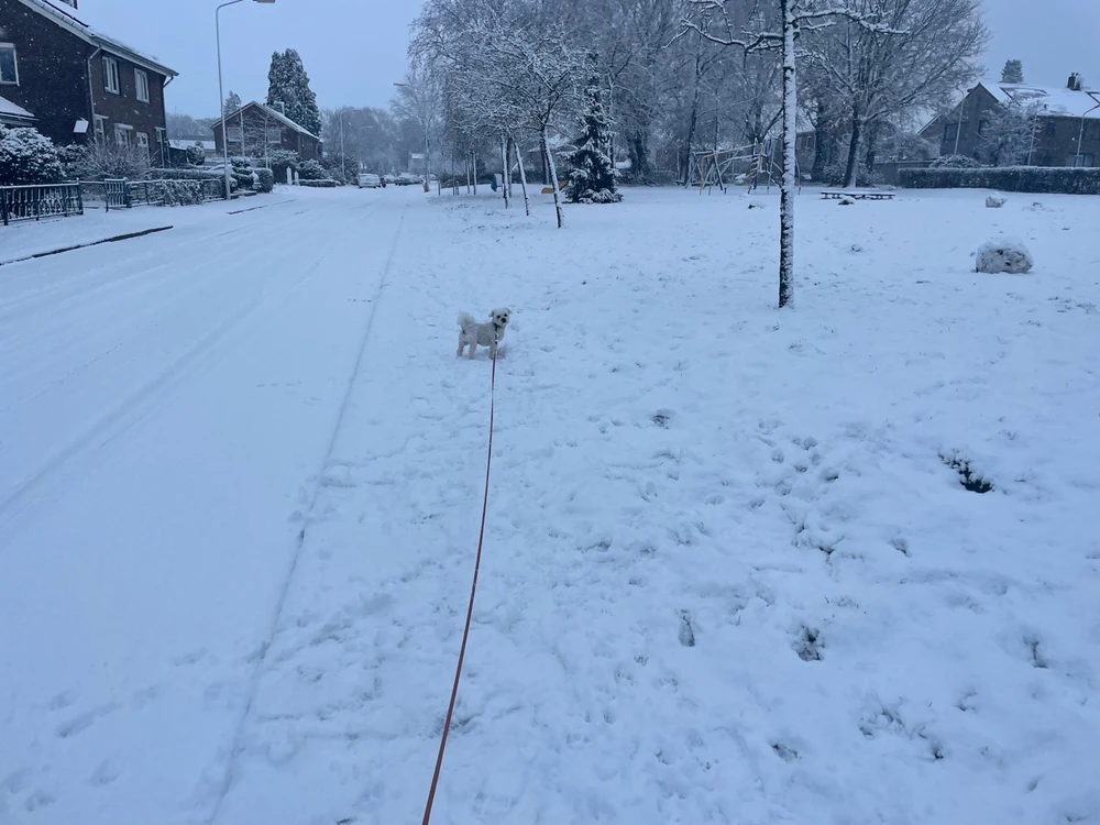 Afbeelding geüpload door Christian