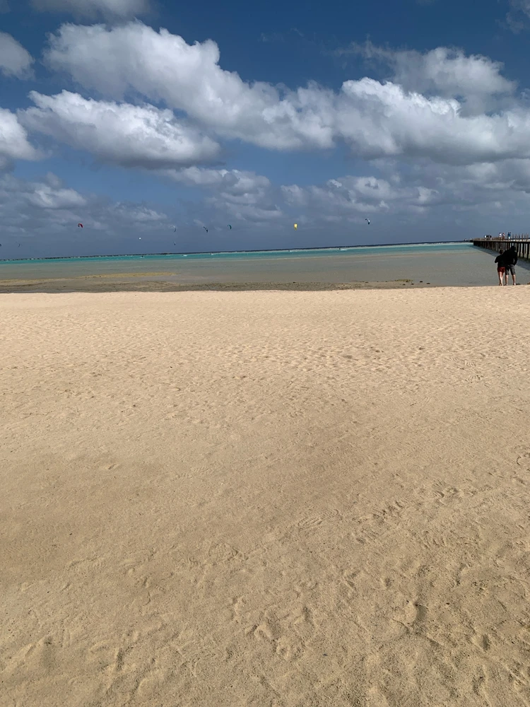 GIF uploaded by Marcello