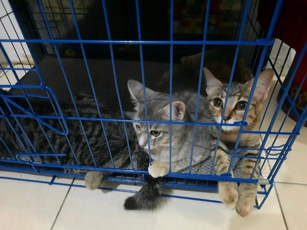 GIF uploaded by Friday