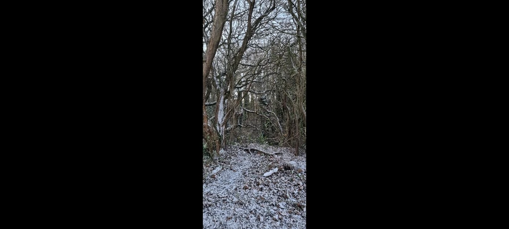 Image uploaded by David