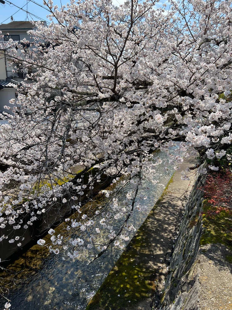 Image uploaded by Dominik