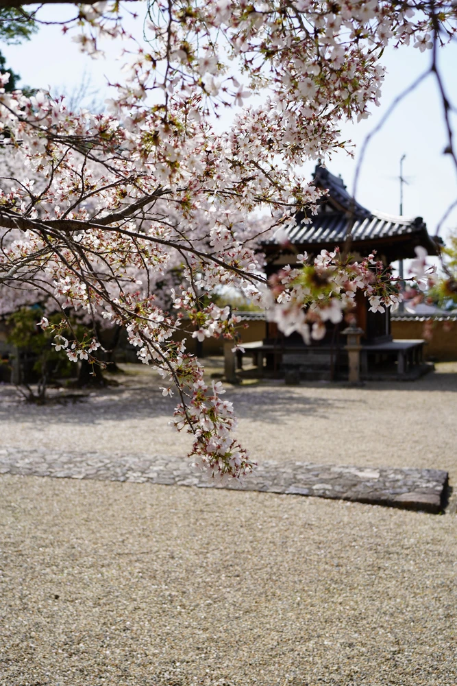 Image uploaded by Dominik