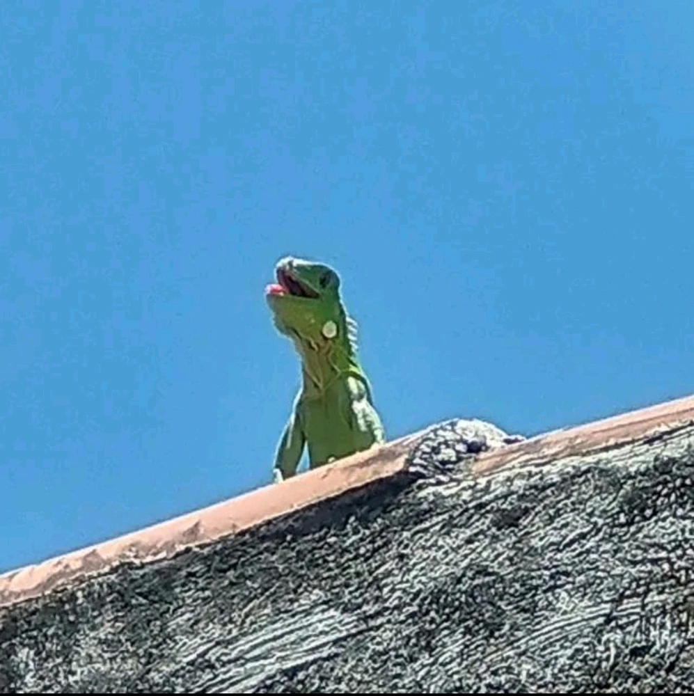 GIF enviado por RYAN