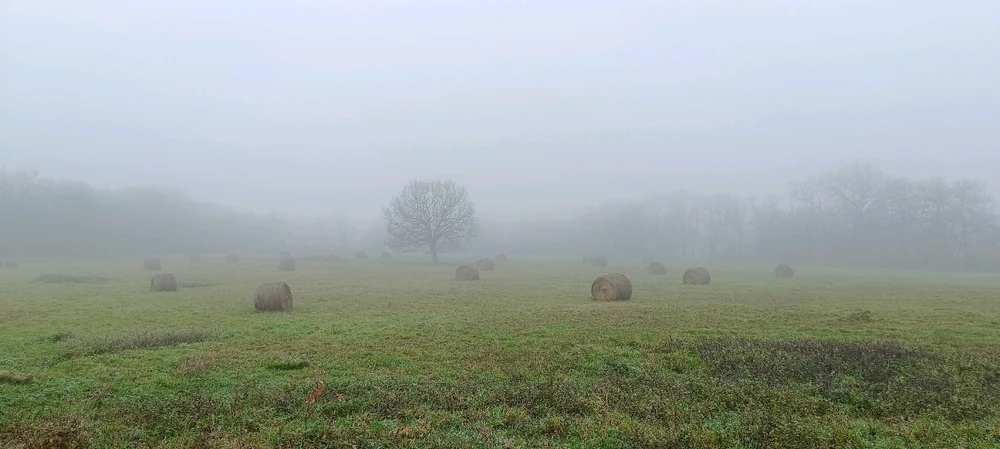 Image uploaded by Rudy