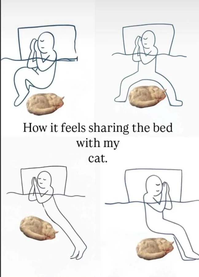 GIF uploaded by Olivia