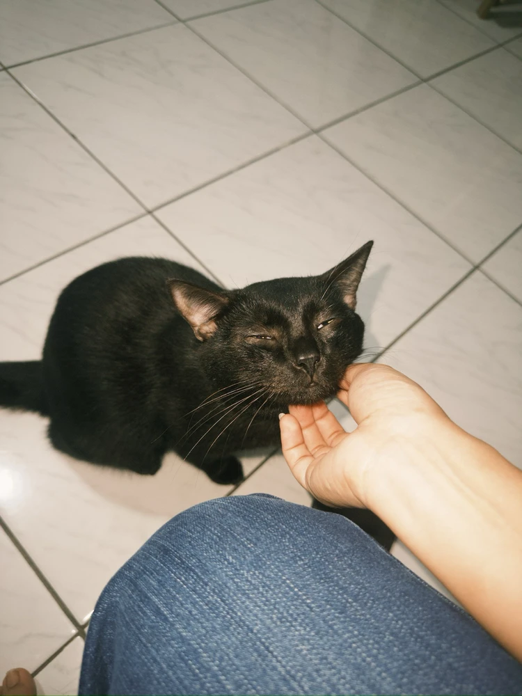 GIF uploaded by risty