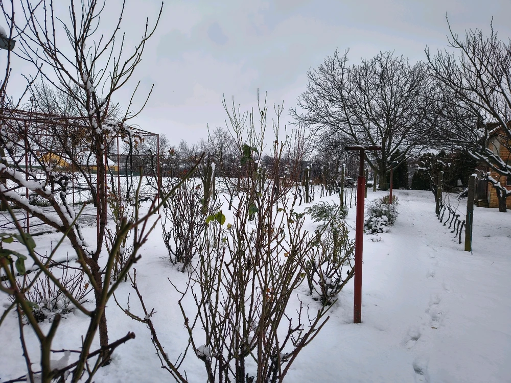 Bild hochgeladen von Mike