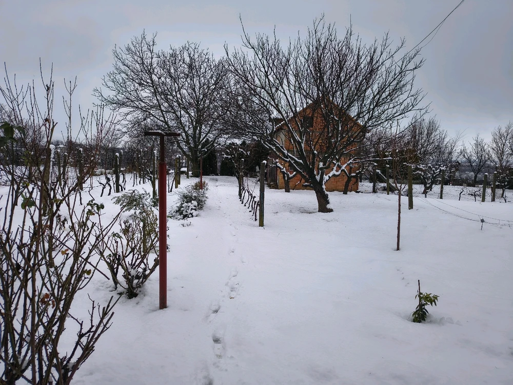 Bild hochgeladen von Mike