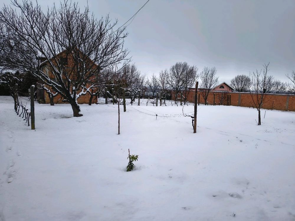 Bild hochgeladen von Mike