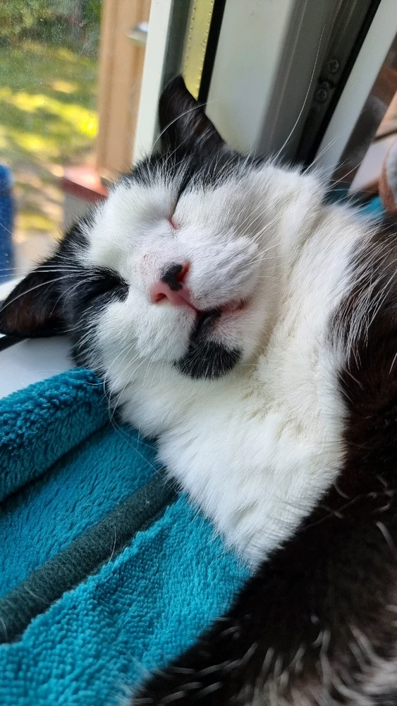 GIF uploaded by Reelika