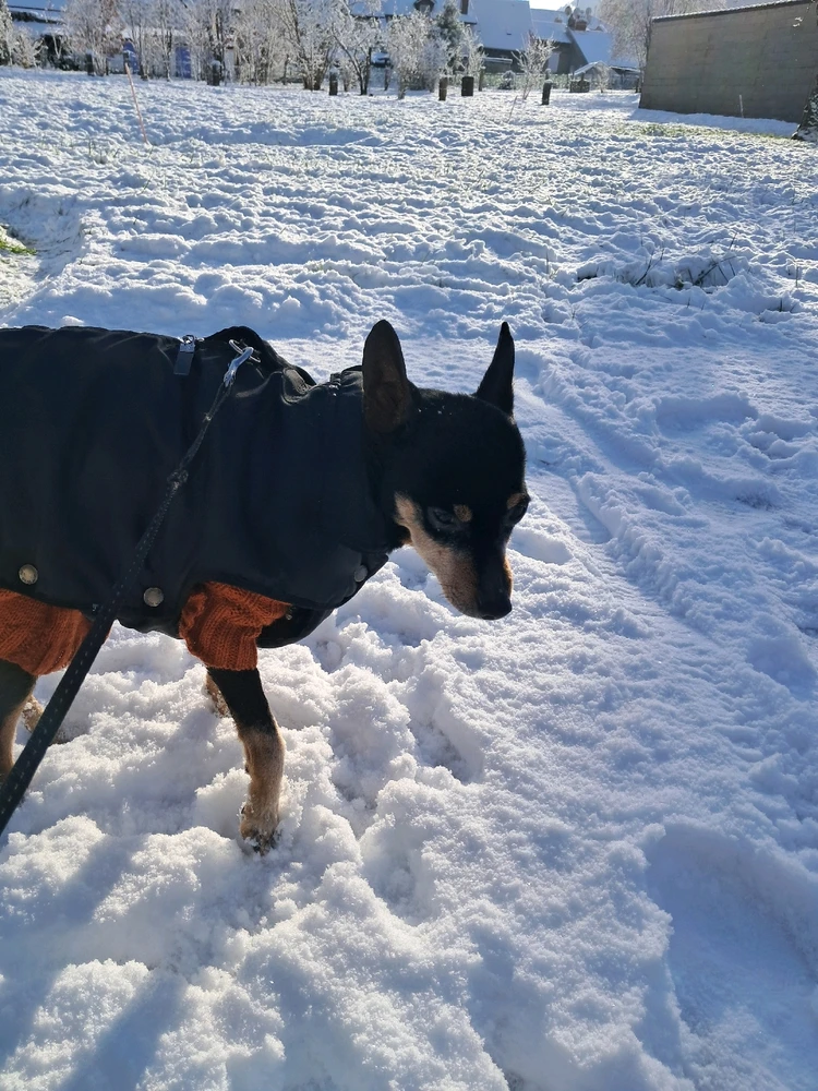 Image ajoutée par Angélique