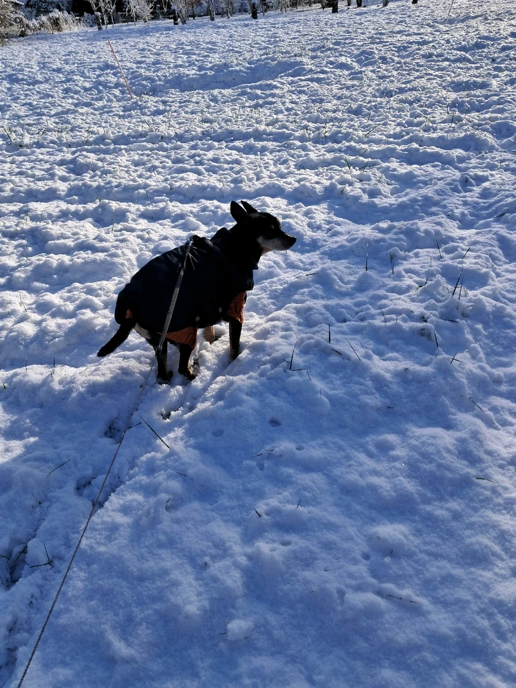 Image ajoutée par Angélique