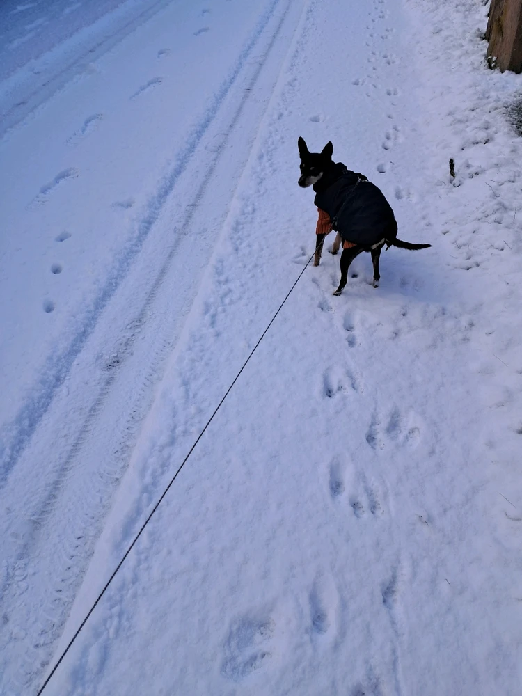 Image ajoutée par Angélique