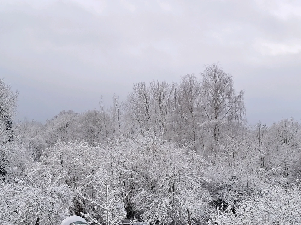 Image ajoutée par Angélique