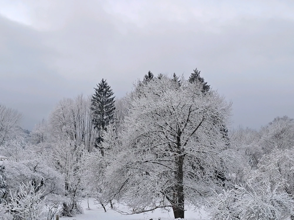 Image ajoutée par Angélique