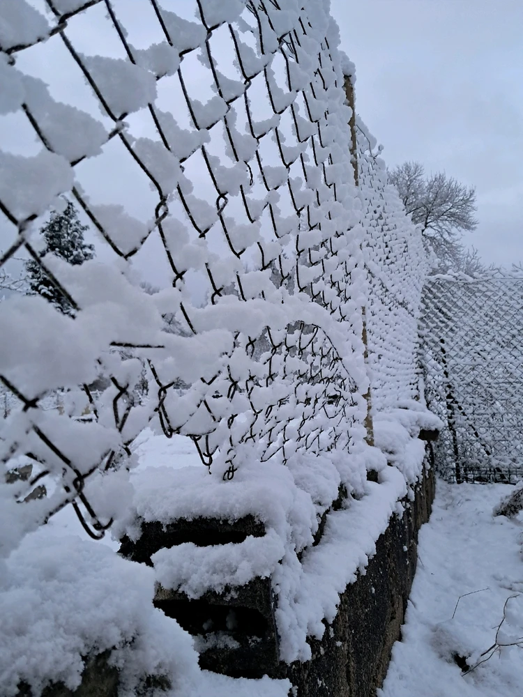 Image ajoutée par Angélique