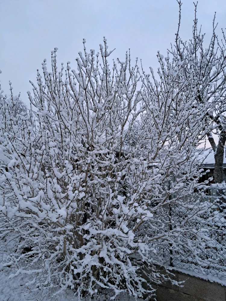 Image ajoutée par Angélique