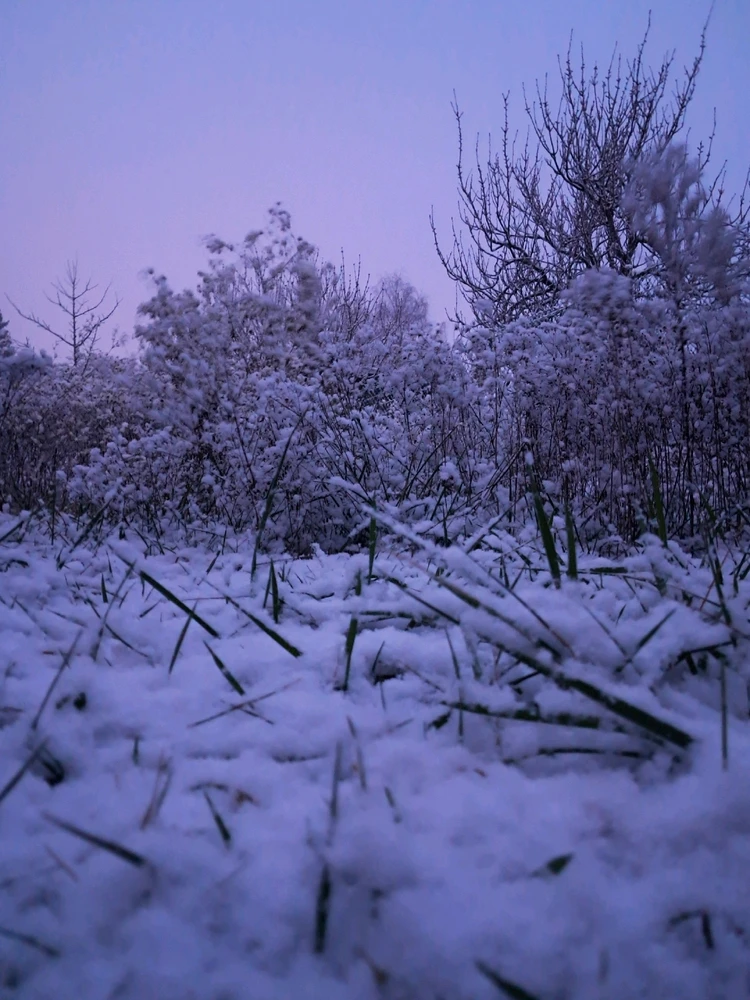 Image ajoutée par Angélique