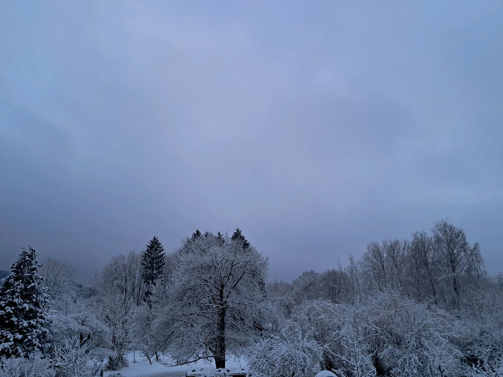 Image ajoutée par Angélique