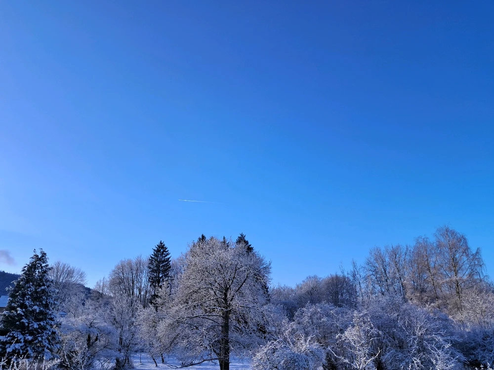 Image ajoutée par Angélique