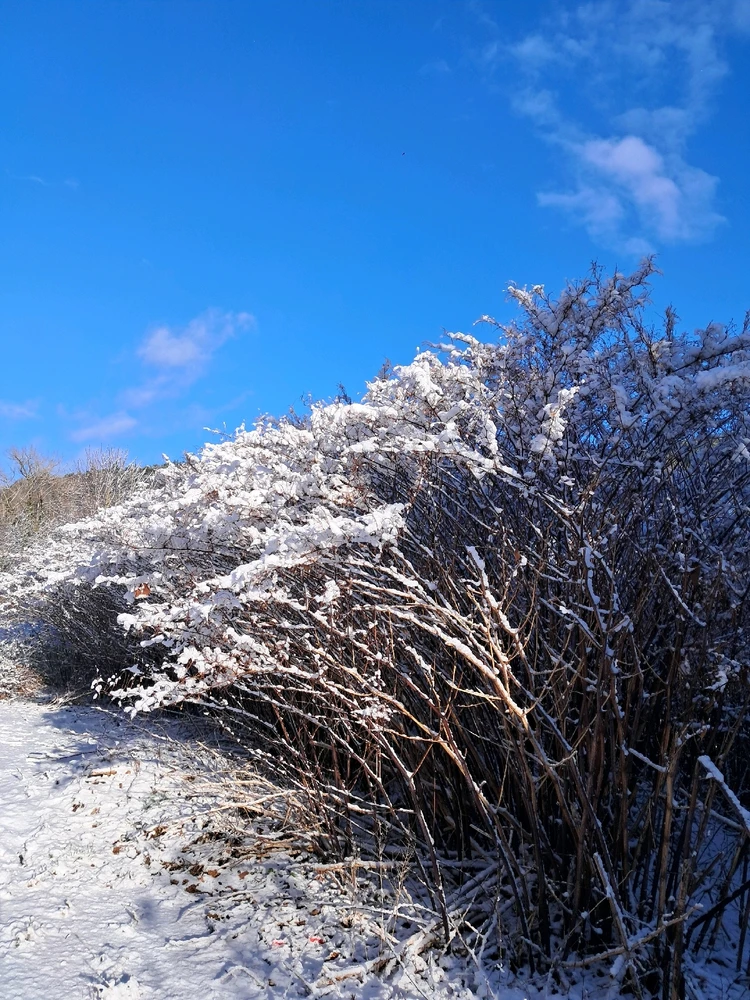 Image ajoutée par Angélique