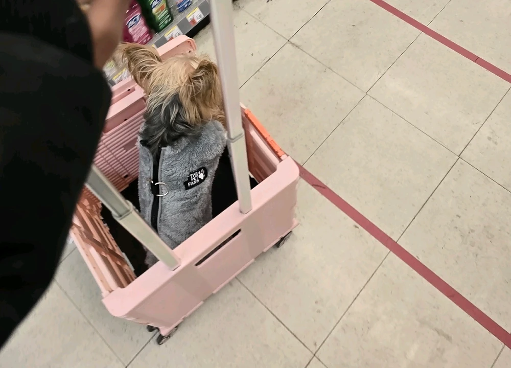 Image uploaded by 《🌹.::Lenöré::.🌹》