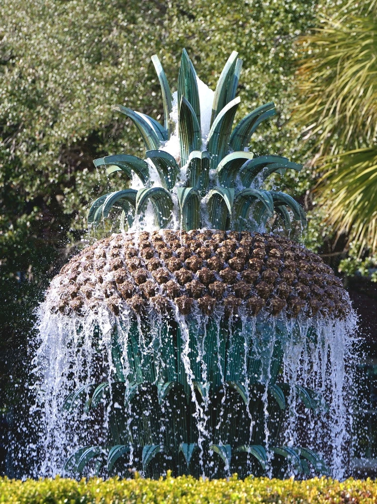 由Jiawei Chen上传的图片