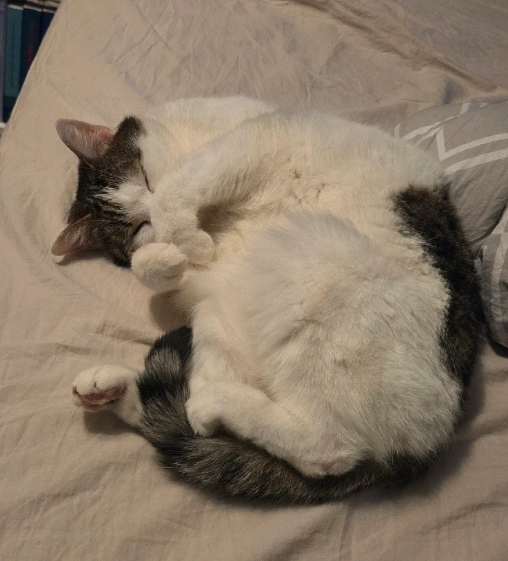 GIF dodany przez Agaa