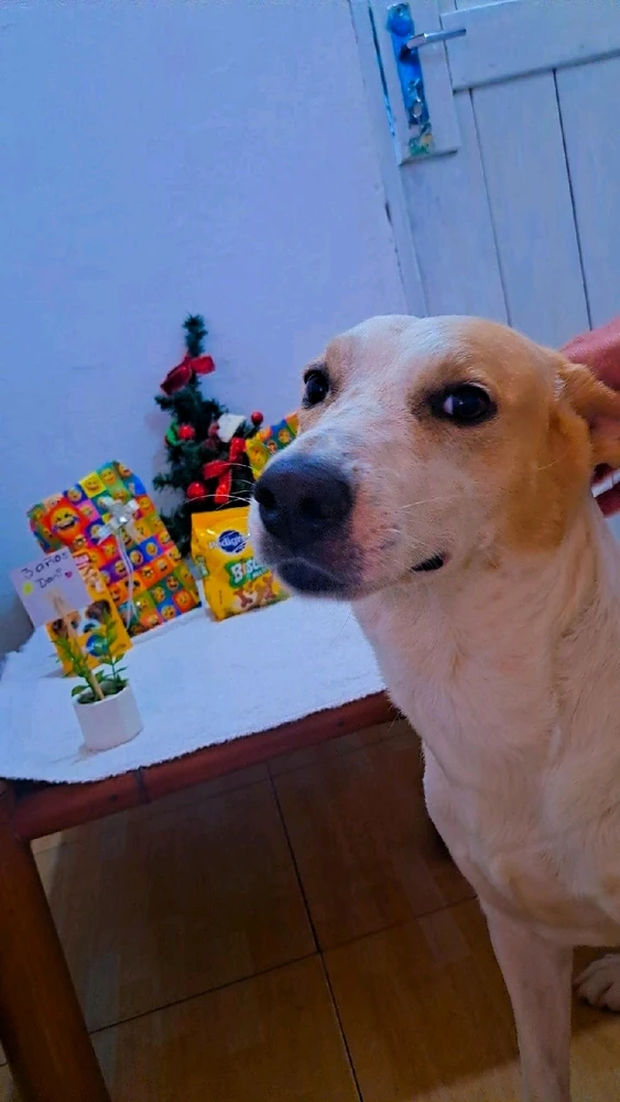 GIF subido por Michelle