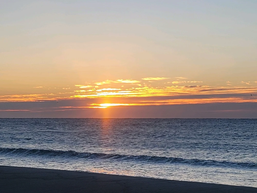 Image uploaded by 🤍 Zia 🤍