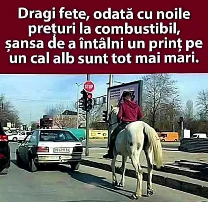 GIF încărcat de Alex