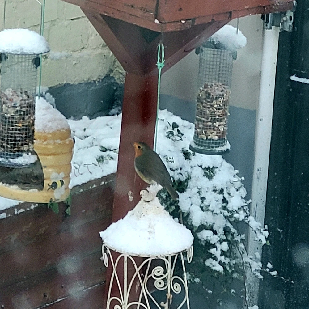 GIF uploaded by Luke