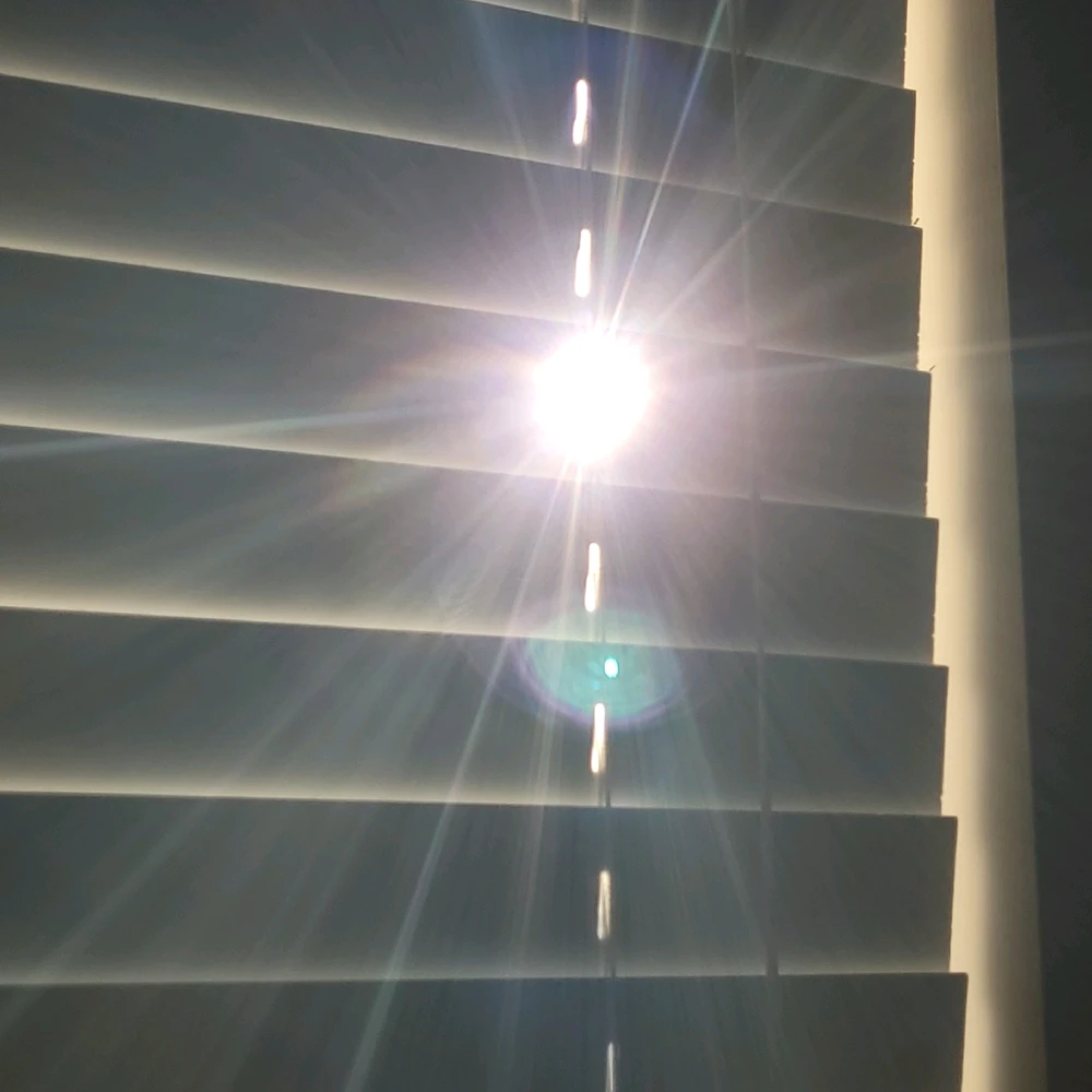 Image uploaded by Mikalob