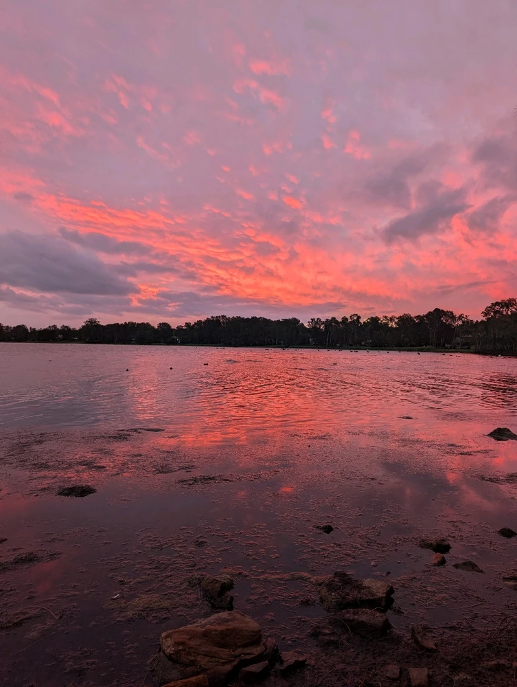 Image uploaded by Paolo