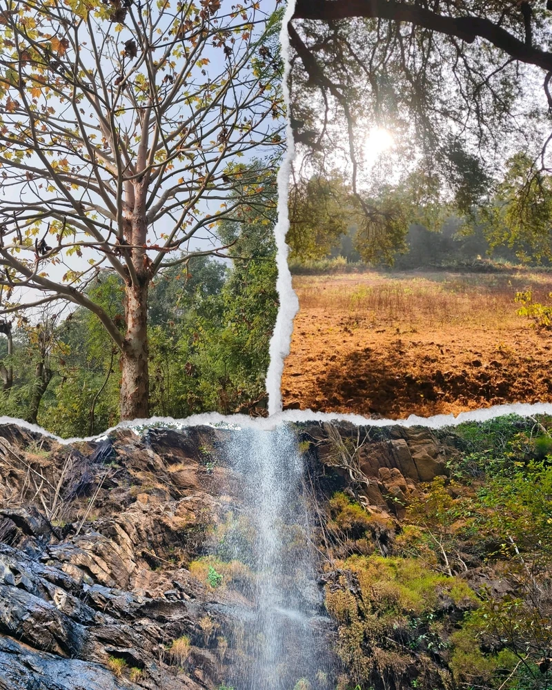 GIF uploaded by Vansh Priyadarshi