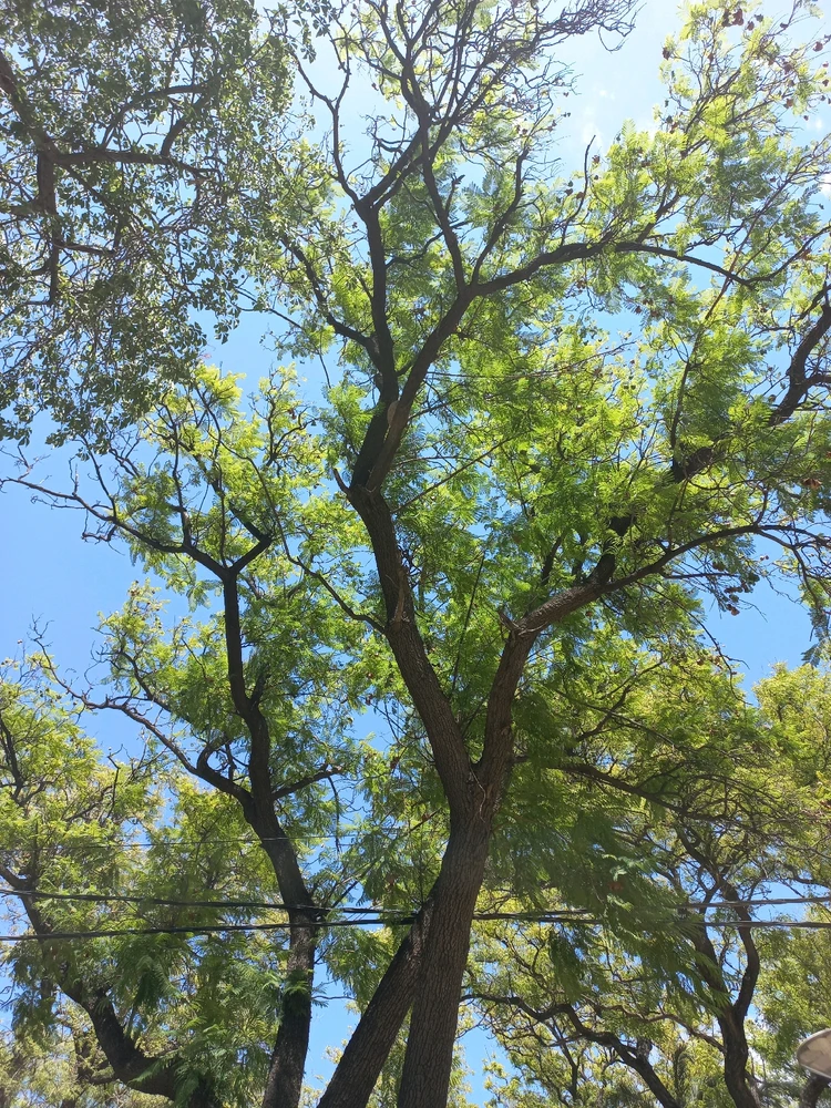 GIF subido por Virginia Yazmín