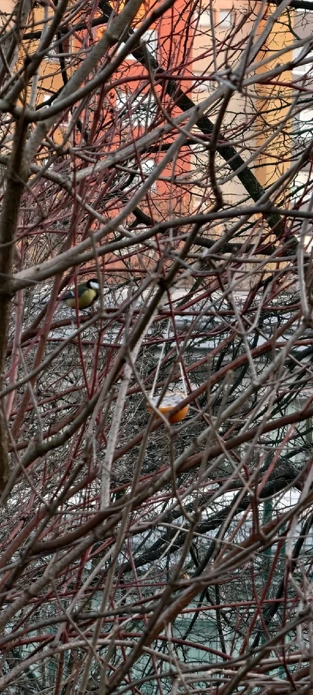 Zdjęcie dodane przez tynamar