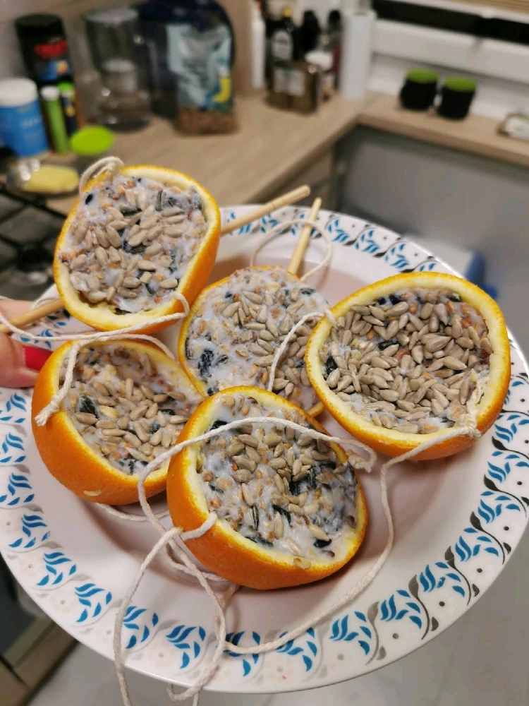 Zdjęcie dodane przez tynamar