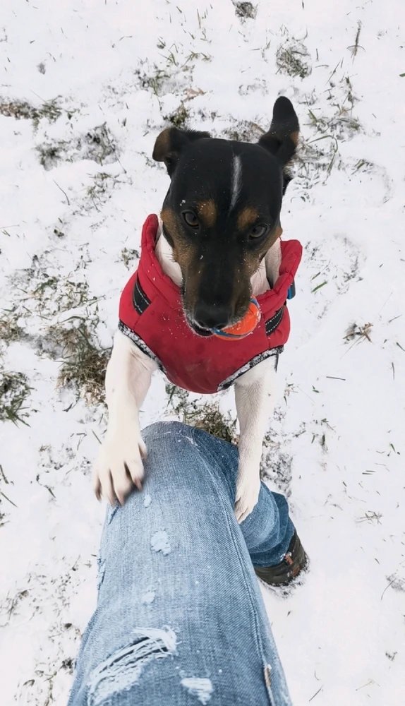 GIF hochgeladen von Ⓜ️🅰️NuEl