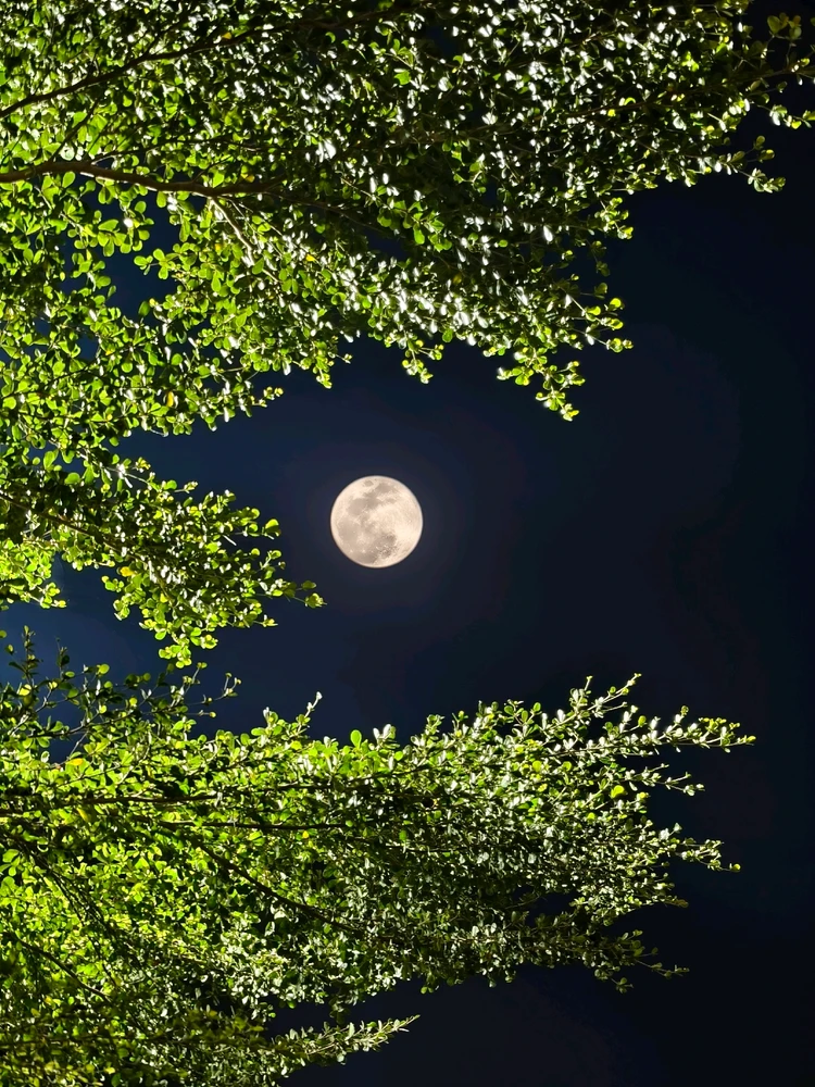 GIF uploaded by Varshit Parmar