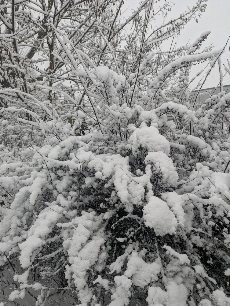 GIF hochgeladen von Iri