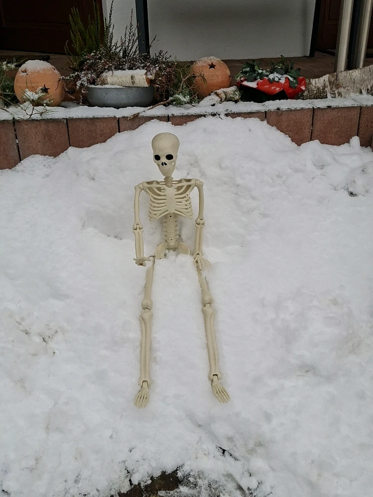 Bild hochgeladen von Michael