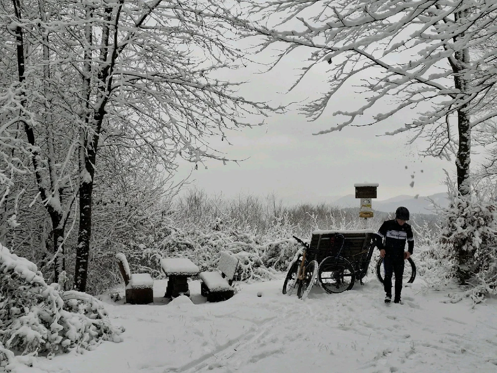 Bild hochgeladen von Michael