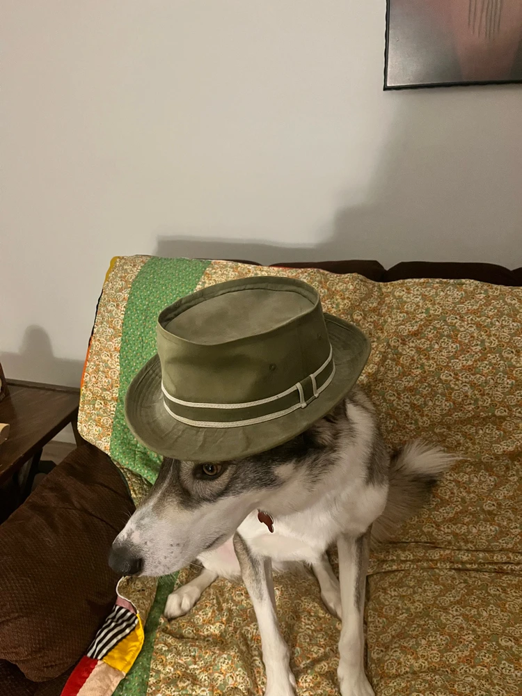 GIF uploaded by Brad