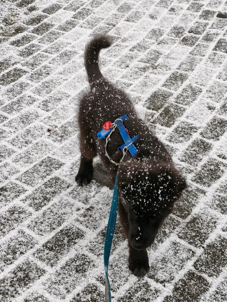 Bild hochgeladen von Moritz