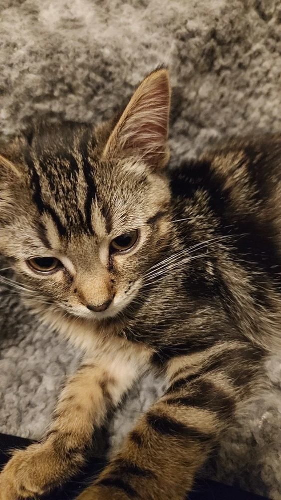 Image uploaded by Bobby