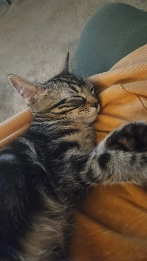 Image uploaded by Bobby