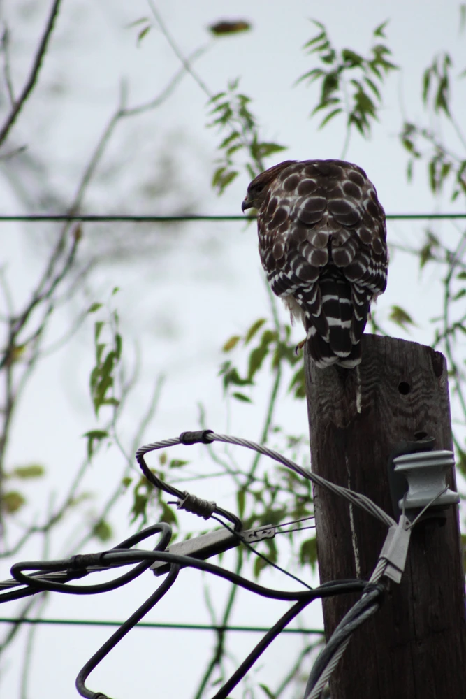 Image uploaded by Tobias