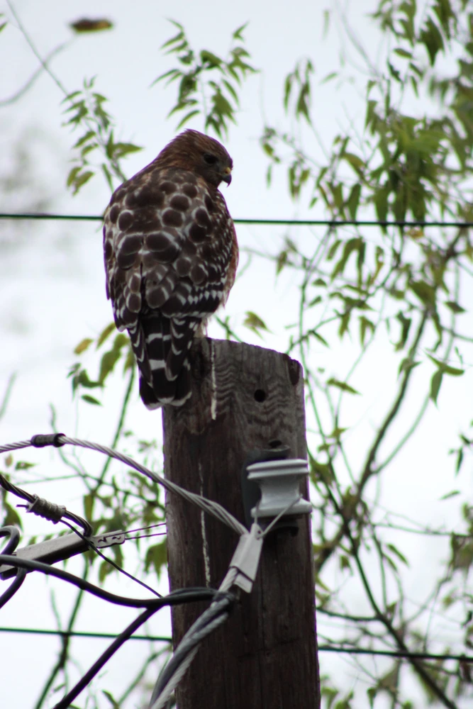 Image uploaded by Tobias